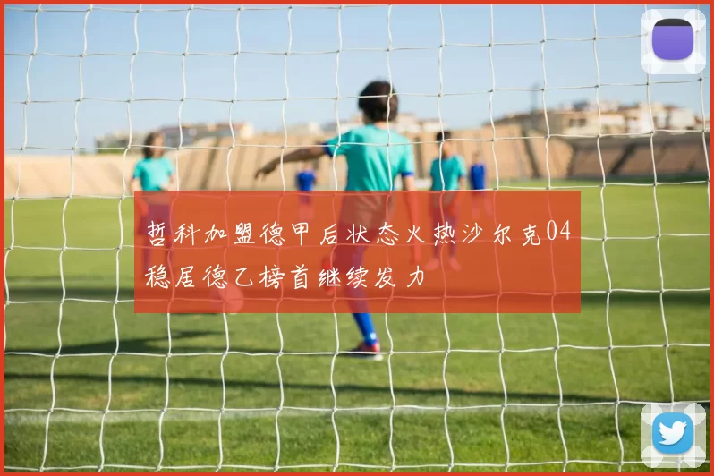 哲科加盟德甲后状态火热沙尔克04稳居德乙榜首继续发力